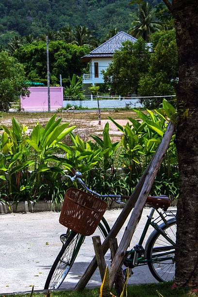 istock bicycle leaning against a palm tree in the park 546434152