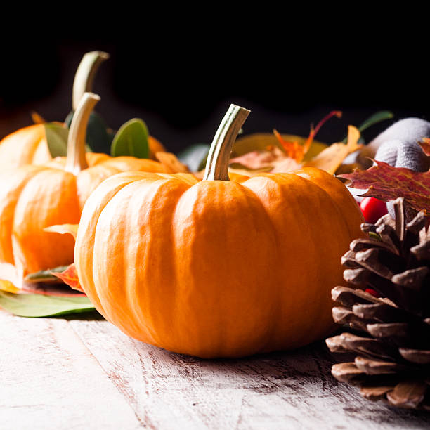 istock Autumn still life with pumpkin 546434374