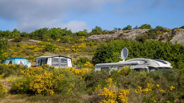 Campers in RV's between common broom bushes and granite cliffs on Bornholm in June. Image taken with old russian optics giving a soft focus