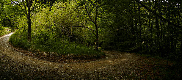 마운틴 바이크 트레일: 비아 반델리에서 mtb 투어링 - outline hiking woods forest 뉴스 사진 이미지