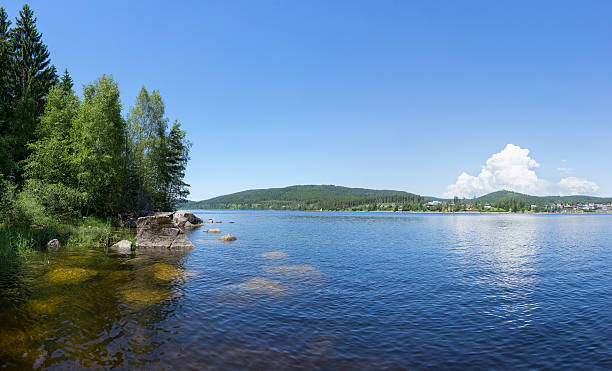 istock On the shore of lake Schluchsee 546437202