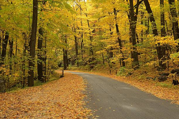 istock Autumn Colors Along a Rural Road 546438014
