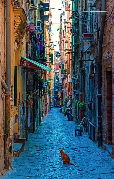 Photo of NAPLES (Campania, Italia) - The biggest city of south Italy