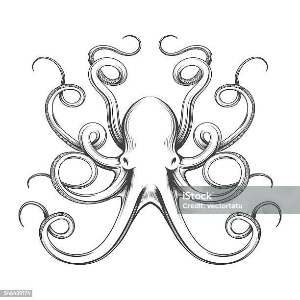 Engraved Octopus Vector Icon Stock Illustration - Download Image Now - Octopus, Illustration, Calamari