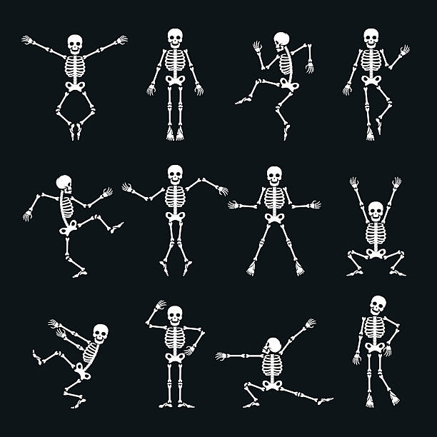 funny dancing skeleton set - 人類骨架 插圖 幅插畫檔、美工圖案、卡通及圖標