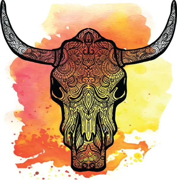 Vector illustration of Bull skull doodle drawing hand drawn on watercolor texture