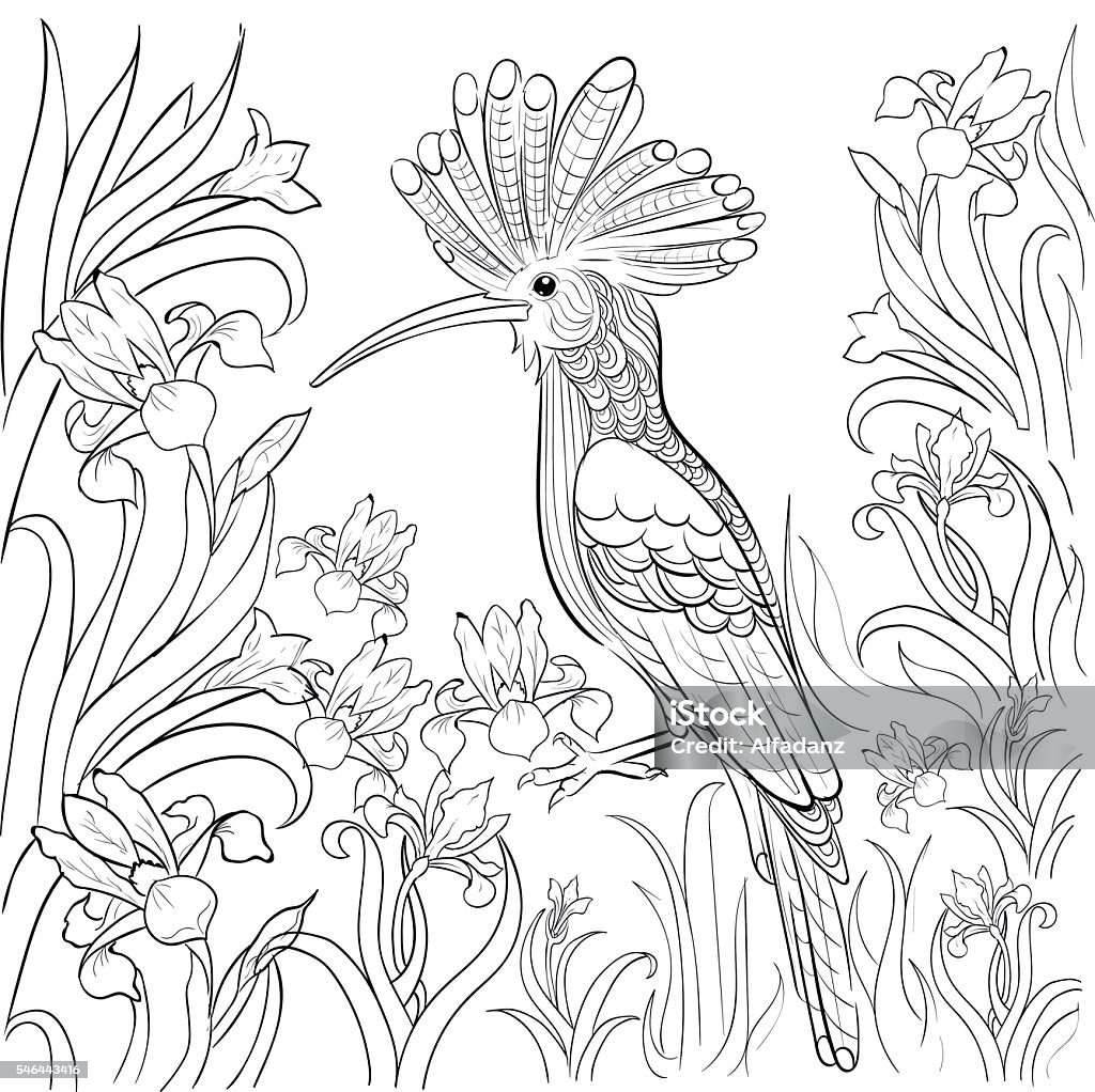 Hand drawn ink pattern. Coloring book for adult Hand drawn ink pattern. Coloring book for adultHand drawn ink pattern. Coloring book for adult.Hand drawn ink pattern. Coloring book for adult.Hand drawn ink pattern. Coloring book for adult. Bird stock vector