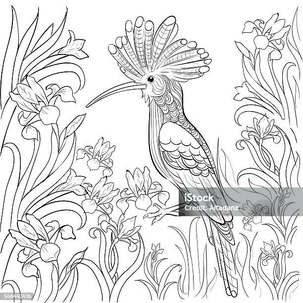 Hand Drawn Ink Pattern Coloring Book For Adult Stock Illustration - Download Image Now - Bird, Coloring Book Page - Illlustration Technique, Drawing - Art Product