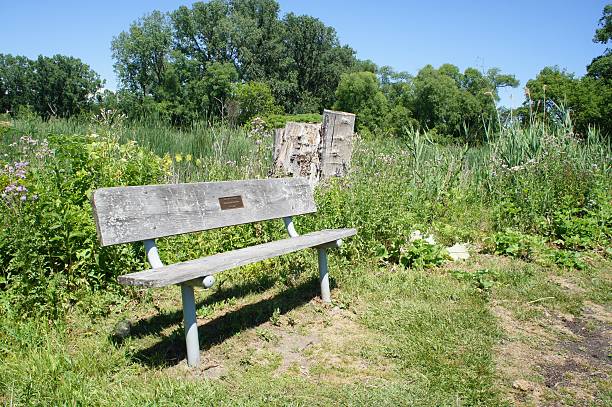istock Park Bench in Outdoors 546451196