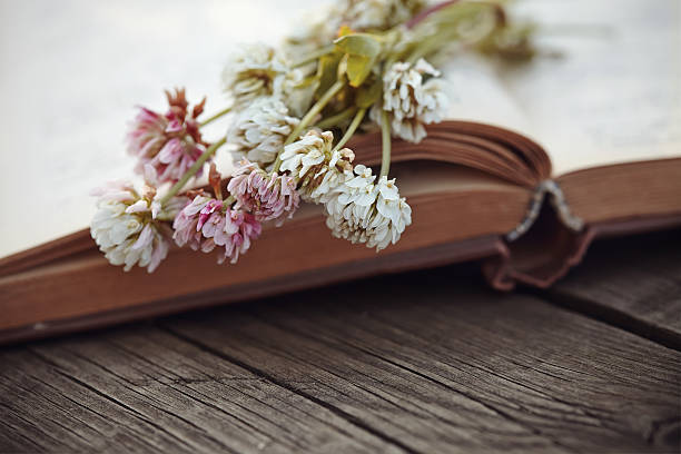 istock Flowers of a clover lie on the old book 546451412