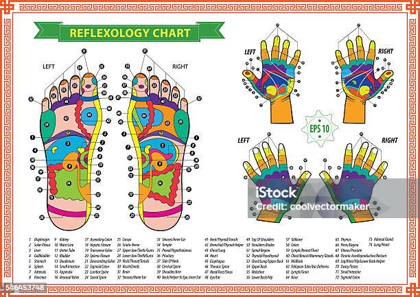 Foot And Hand Reflexology Chart Stock Illustration - Download Image Now - Reflexology, Chart, Abstract