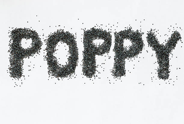 istock poppy seeds on white background 546454880