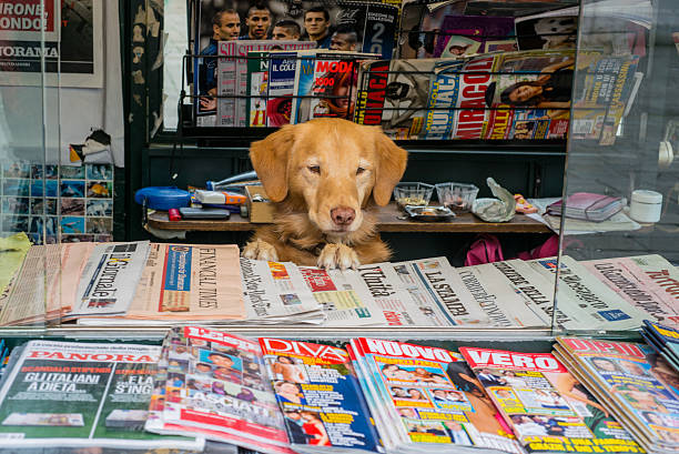 개. 베네치아 개는 신문 사마구간을 운영하고 있습니다. - news stand 뉴스 사진 이미지