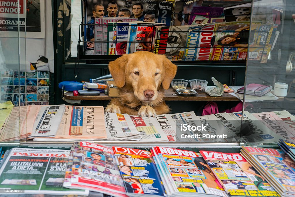 Dogs. Venetian dog runs newsagency stall. News Stand Stock Photo