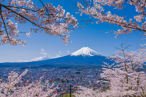 istock Fuji Mountain and cherry landscape. 546455160