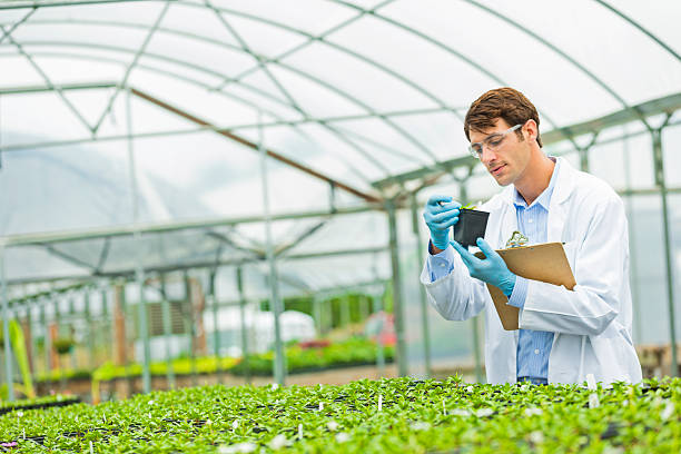 istock Handsome scientist working in a greenhouse 546455484