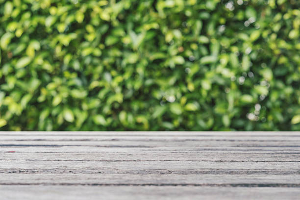 istock Wooden desk with defocus green bush with bokeh 546455698