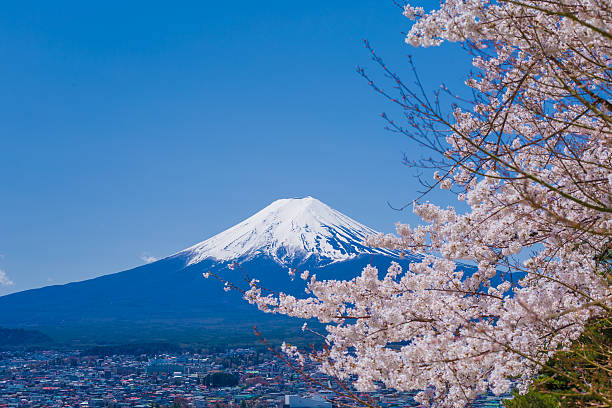 istock Fuji Mountain and cherry landscape. 546457610