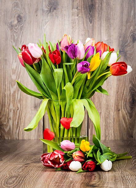 flores sobre fundo de madeira - bouquet tulip greeting card gerbera daisy imagens e fotografias de stock