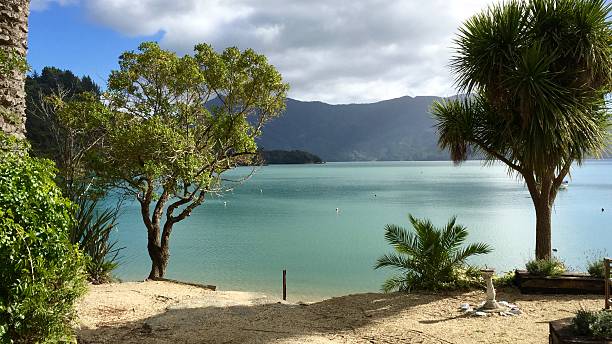 istock View of the Marlborough Sounds 546459280