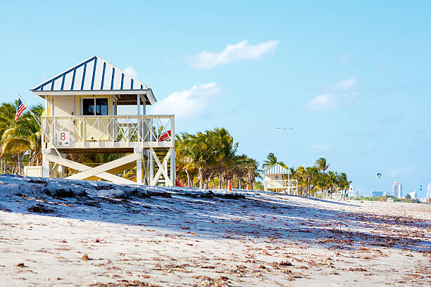 istock Beautiful Crandon Park Beach located in Key Biscayne in Miami. 546463634