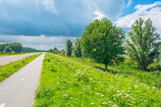 istock Road along a lake in summer 546463868