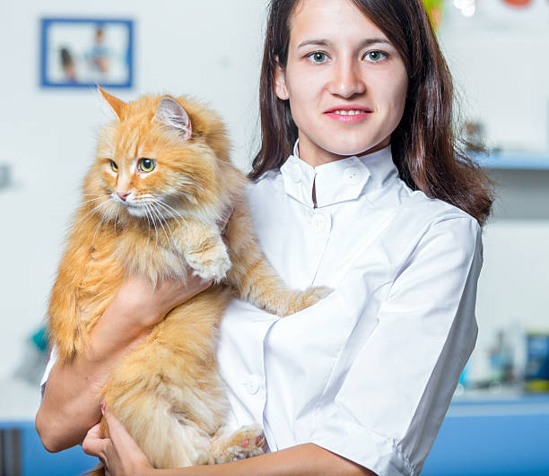 istock Woman Veterinarian With Ginger Cat 546464734