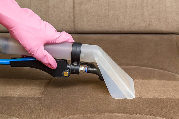 istock Sofa chemical cleaning with professionally extraction method. Upholstered furniture. 546466440