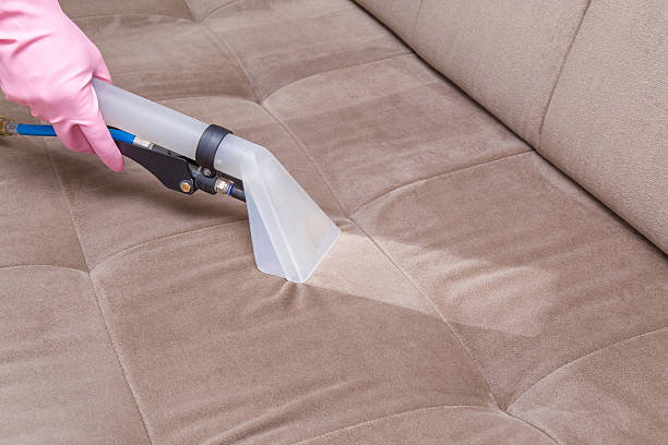 istock Sofa chemical cleaning with professionally extraction method. Upholstered furniture. 546466514