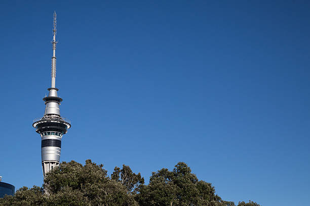 istock Auckland, New Zealand 546763402