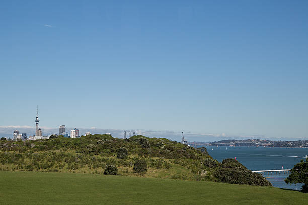 istock Auckland, New Zealand 546763694