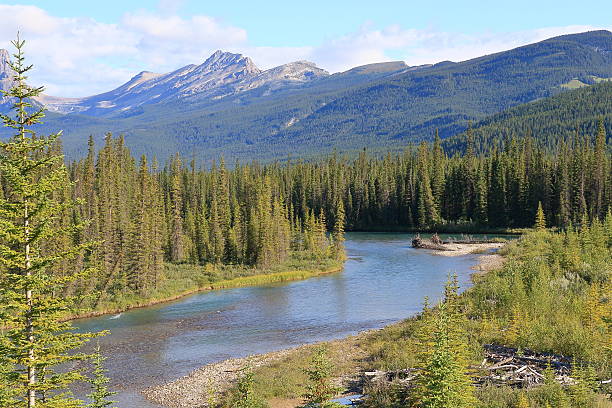 istock Canadian Rocky Mountain Parks 546765404