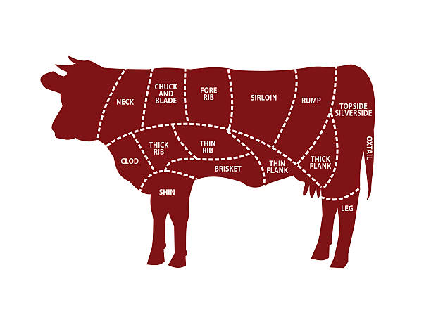 illustrazioni stock, clip art, cartoni animati e icone di tendenza di illustrazione vettoriale tagli di manzo - butcher meat butchers shop steak