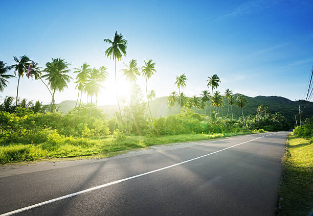 istock empty road in jungle of Seychelles islands 546771598