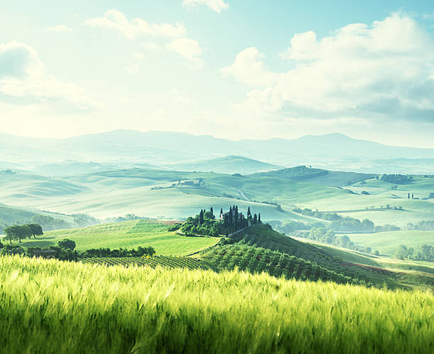 istock morning in Tuscany, Italy 546772088