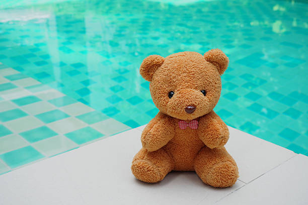 teddy bear pool