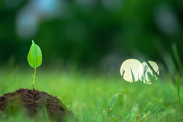 istock Small green plant with mysterious lights over 546774260