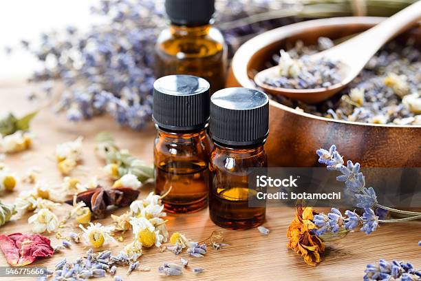 Dried Herbs And Essential Oils Stock Photo - Download Image Now - Aromatherapy, Aromatherapy Oil, Massaging