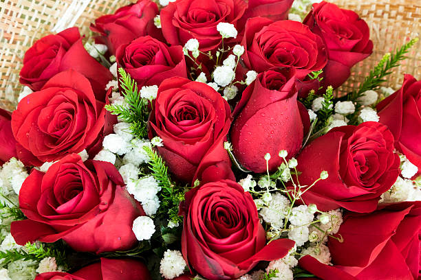 istock Close up of red rose 546776528