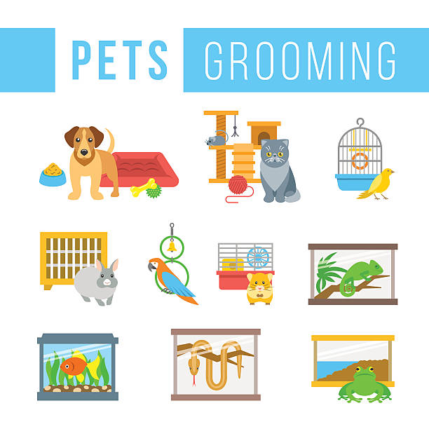 Animals pets grooming flat colorful vector illustrations Animals pets grooming flat colorful vector icons. Dog with a bowl, bedding and toys. Cat with a ball and cat tree. Canary, rabbit, parrot, hamster, chameleon, frog, snake in cages. Fish in aquarium pet snake stock illustrations