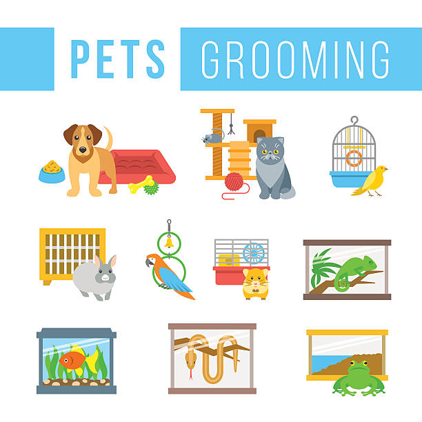 Animals pets grooming flat colorful vector illustrations Animals pets grooming flat colorful vector icons. Dog with a bowl, bedding and toys. Cat with a ball and cat tree. Canary, rabbit, parrot, hamster, chameleon, frog, snake in cages. Fish in aquarium rabbit cage stock illustrations