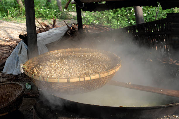 istock mussel or hen in steam 546781056