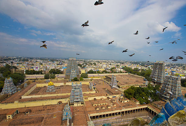 Madurai Meenakshi Amman TempleMadurai Meenakshi Amman Temple Madurai, Tamil Nadu, India: December 29,2015. menakshi stock pictures, royalty-free photos & images