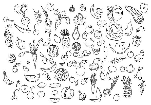 Hand drawn vegetables doodle sketch on white. Hand drawn vegetables doodle sketch on white fruit drawings stock illustrations