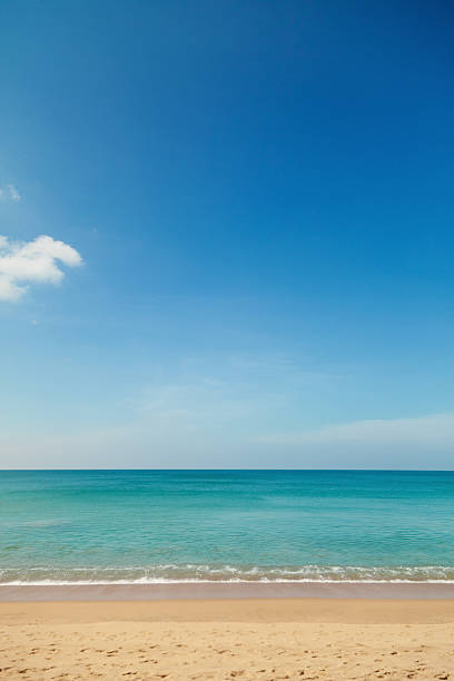 istock Beautiful tropical beach with clear blue sky 546782356