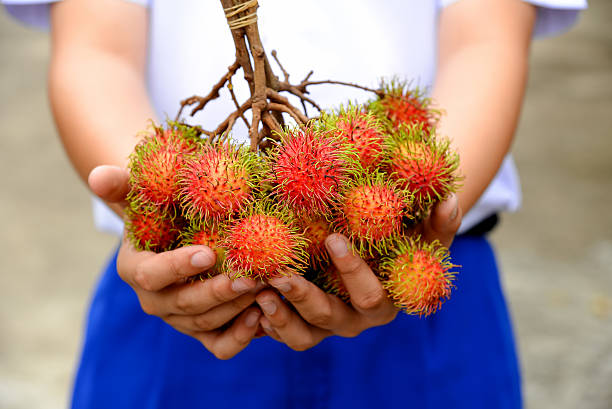istock Delicious rambutan fruit on boy hands from market. 546783074
