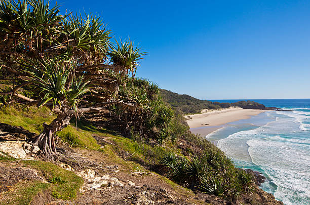 istock Australia, North Stradbroke Island 546785824