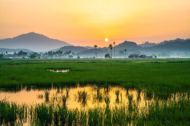 paysages de campagne dans un pays tropical - pulau langkawi photos et images de collection