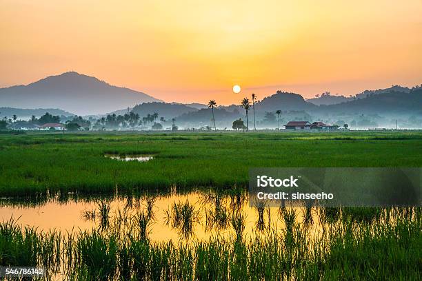 Countryside Scenery In A Tropical Country Stock Photo - Download Image Now - Pulau Langkawi, Malaysia, Rice Paddy