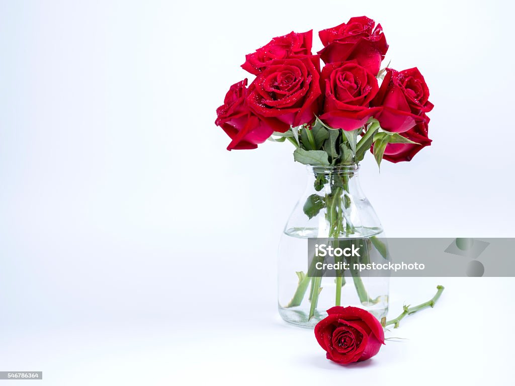Bouquet Red Roses Flower In Glass Bottle On Isolated Background Stock Photo - Download Image Now - iStock Bouquet Red Roses Flower In Glass Bottle On Isolated Background Stock Photo - Download Image Now - iStock